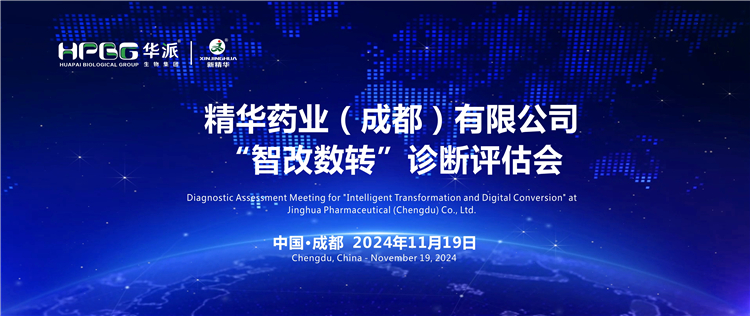 智能造作｜专家组光临华派集团&middot;mg冰球突破药业发展&ldquo;智改数转&rdquo;评估诊断