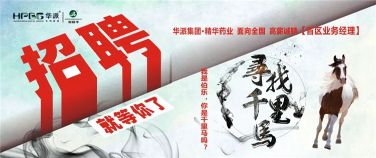 寻找千里马 | 华派集团&bull;mg冰球突破药业面 向全国高薪诚聘【省区业务经理】 我是伯乐，你是千里马吗？