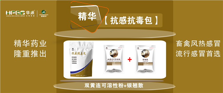 科普：几种常见畜禽感冒与盛行性感冒的防控 |【抗感抗毒包】抗菌消炎、解热排毒、抗毒增免，畜禽风热感冒、盛行感冒首选!