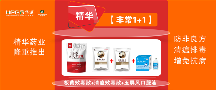 科普：非洲猪瘟防控措施 |【极度1+1】防非良方, 清瘟排毒、增免抗病，加快猪瘟抗体产生!