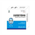 1g注射用氨苄西林钠